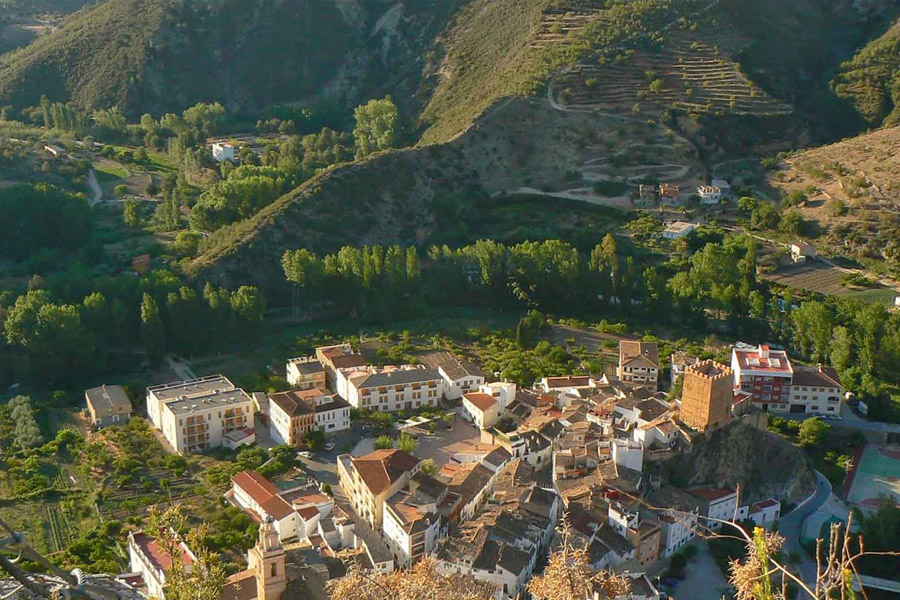 Bosques y plantas autóctonas de la Comunidad Valenciana: la flora de Sot de Chera